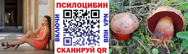 Купить  Шатура  Галлюциногенные грибы MAGIC MUSHROOMS 